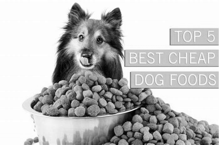 what s a good inexpensive dog food