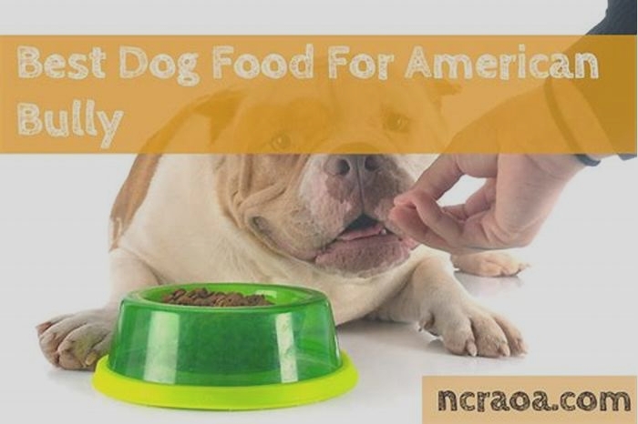 what's the best dog food for bullies