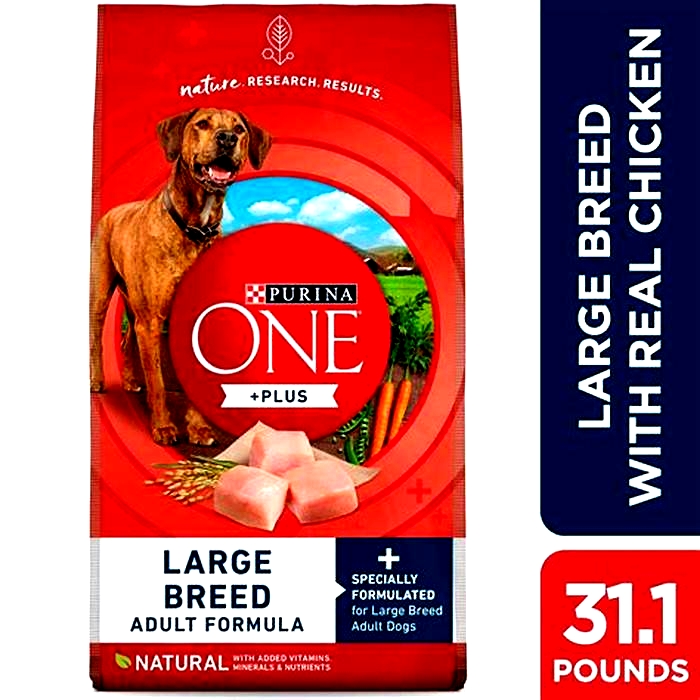 what s the number one dog food