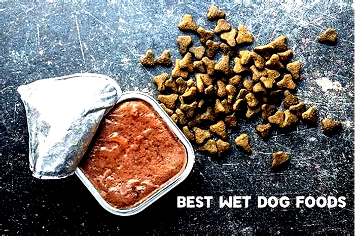 what wet dog food do vets recommend philippines