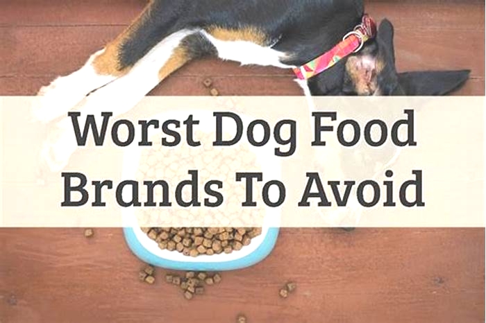 which brands of dog food should i avoid