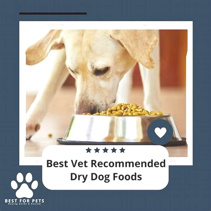 which dry dog food do vets recommend