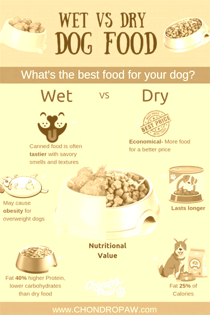 which is best dry dog food or wet