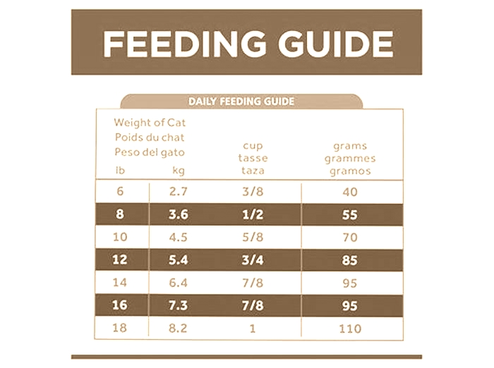 z d cat food feeding guide