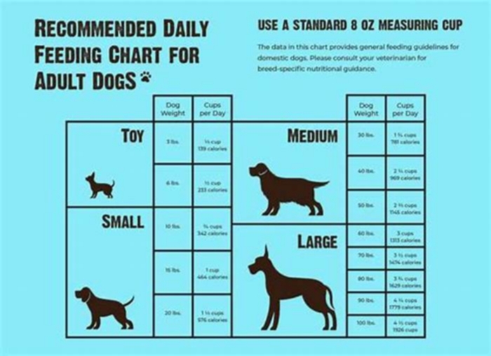 z d dog food feeding guide